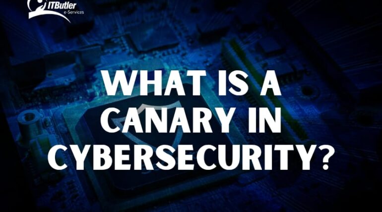 What is a Canary in Cybersecurity?