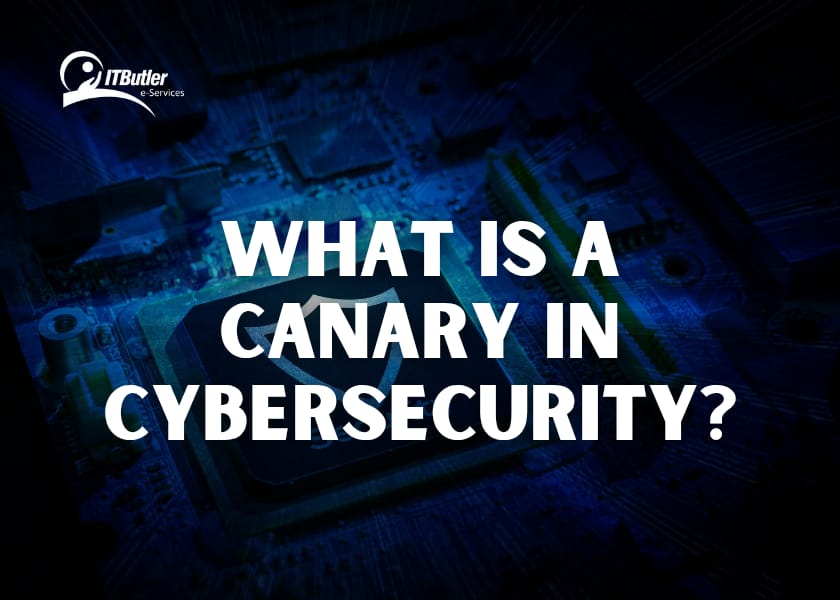 What is the canary in cybersecurity