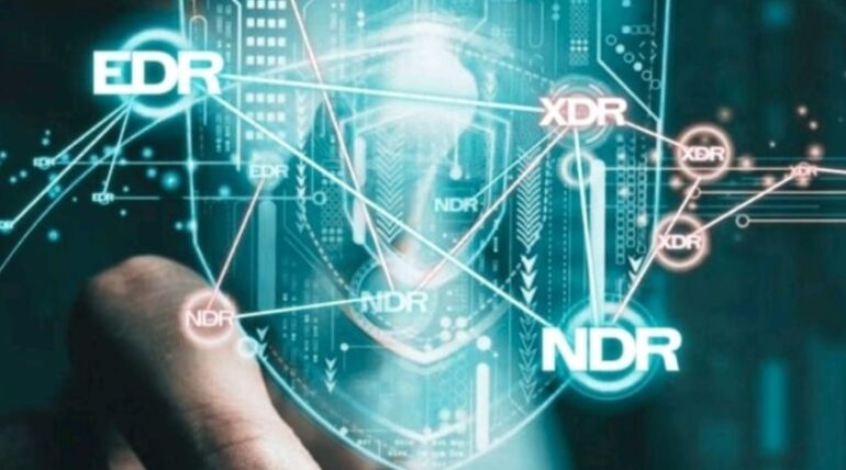 Should My Company Invest in EDR, NDR, or Both?