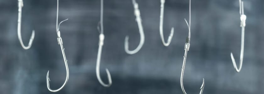 How Do You Prevent Phishing Attacks Using Your Company Name?