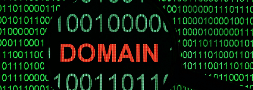 Domain Spoofing and Brand Protection