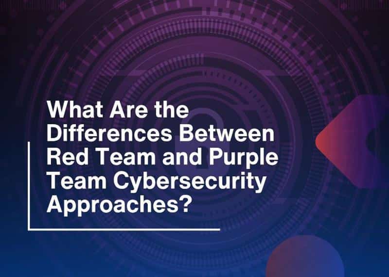 Red vs Purple Team-Different Cybersecurity Approaches