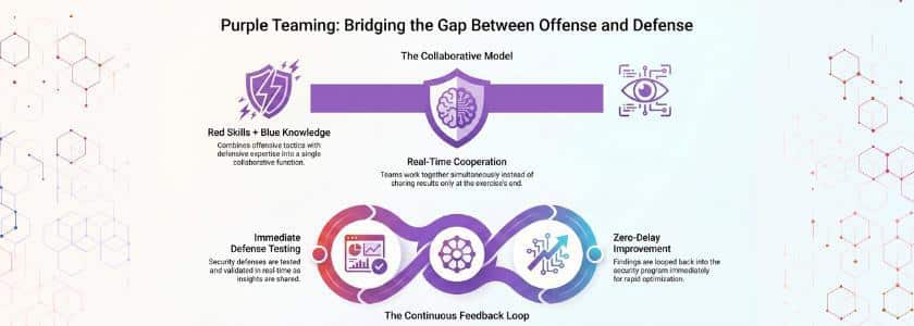 What Is A Purple Team In Cybersecurity Operations
